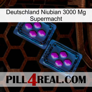 Germany Niubian 3000 Mg Superpower 03